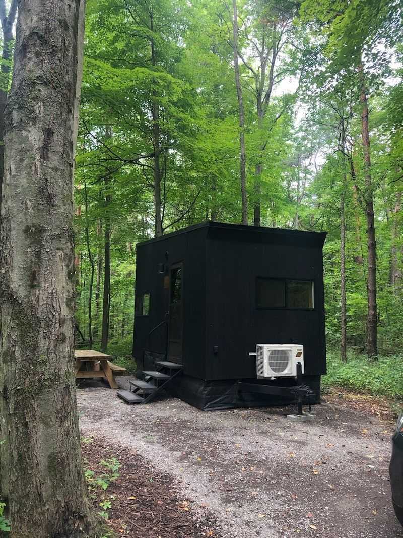 The Dog-Friendly Policy That Makes Packing Easier