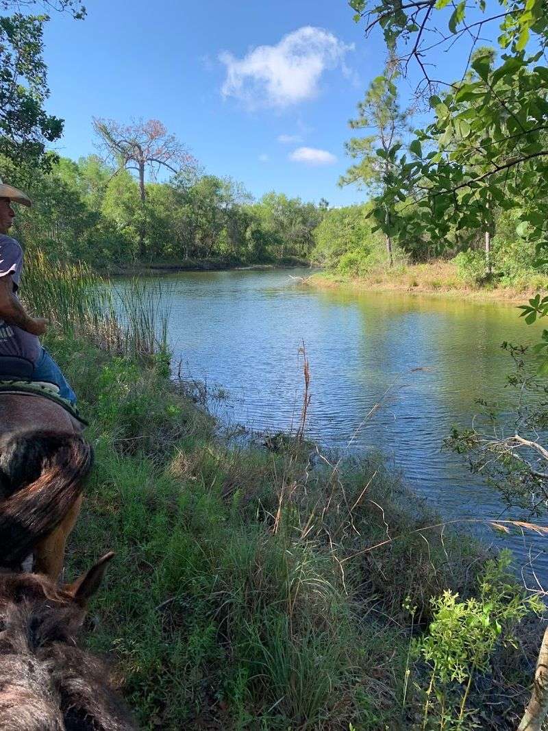 A Perfect Date or Special Occasion Spot