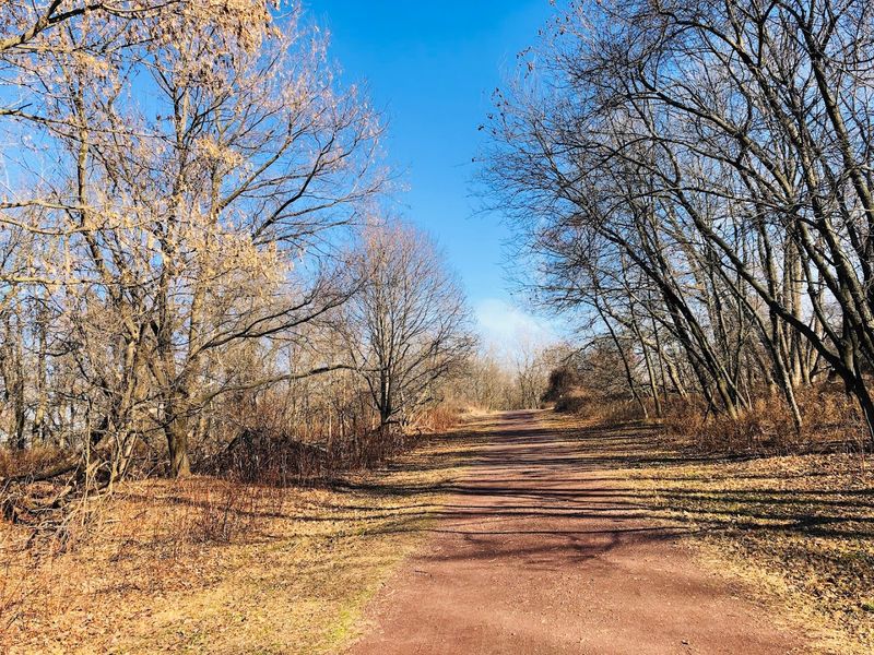 Practical Tips Before You Go