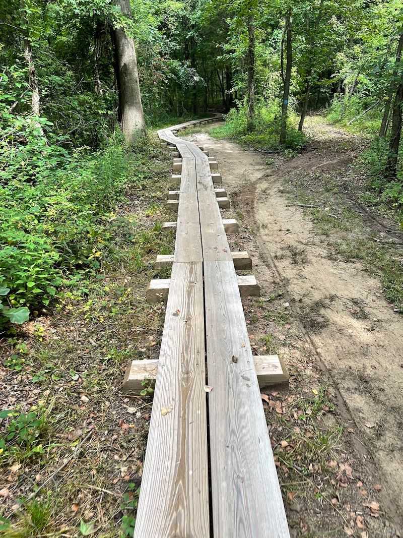 Trails Worth Lacing Up Your Sneakers For