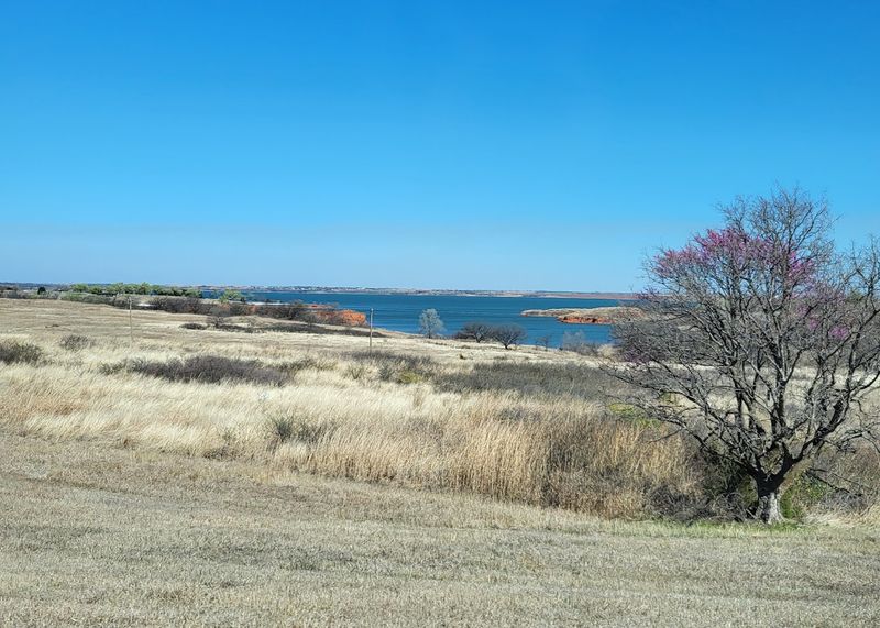 Trails Through the Open Country