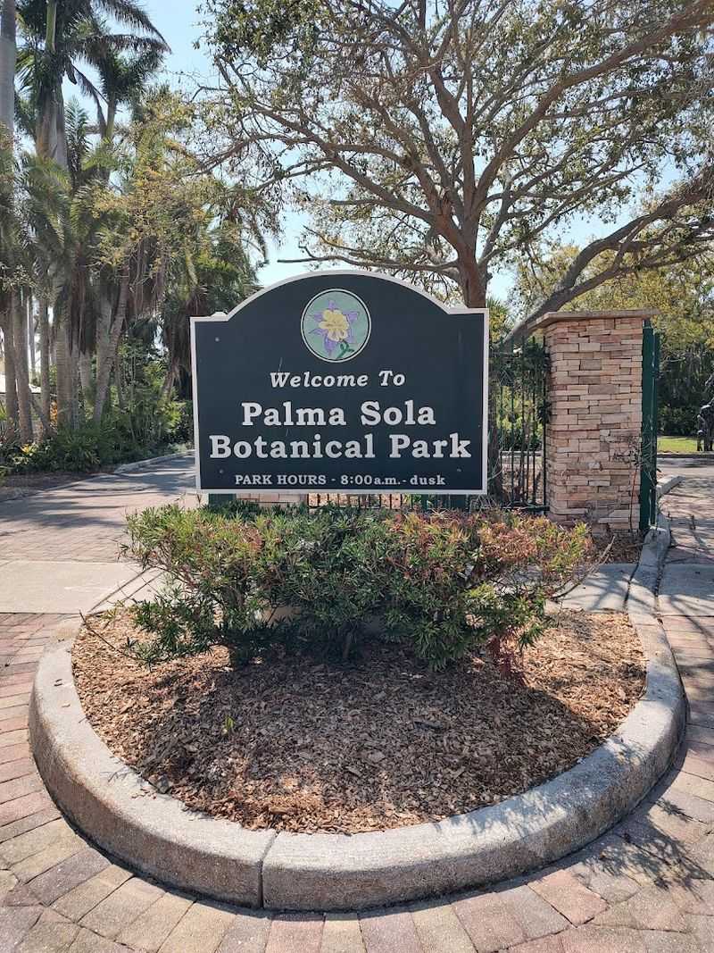 Palma Sola Botanical Park: A Green Escape in the Middle of the City