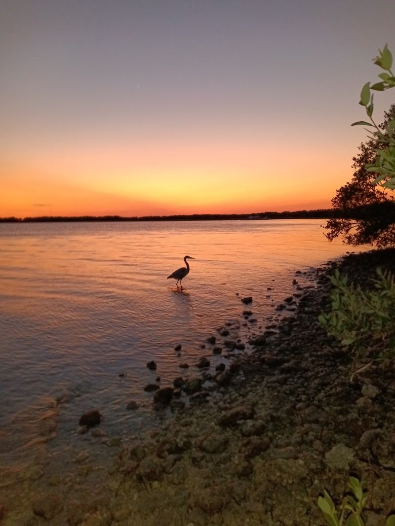 Watching the Sunset From the Beach