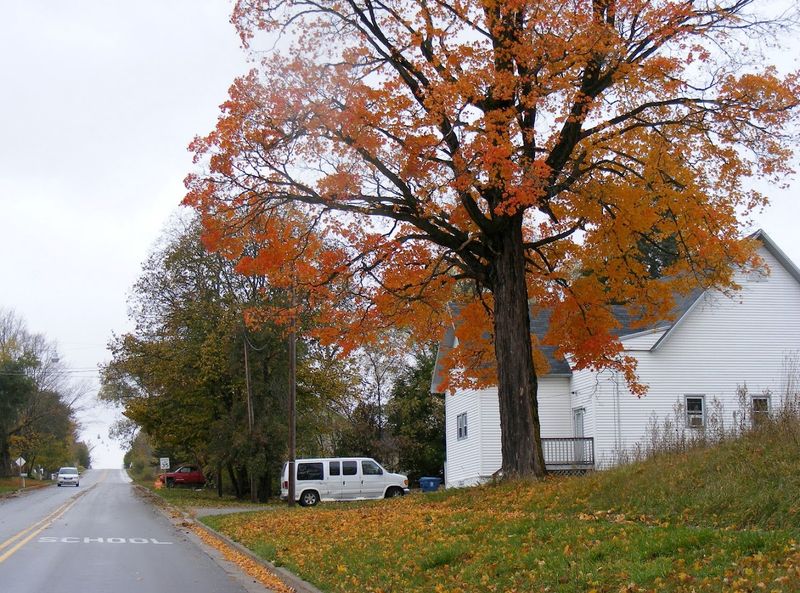 Hiking Trails Through Real Northern Michigan Forest