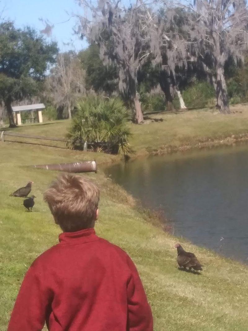 Bird Watching Opportunities That Surprise First-Time Visitors