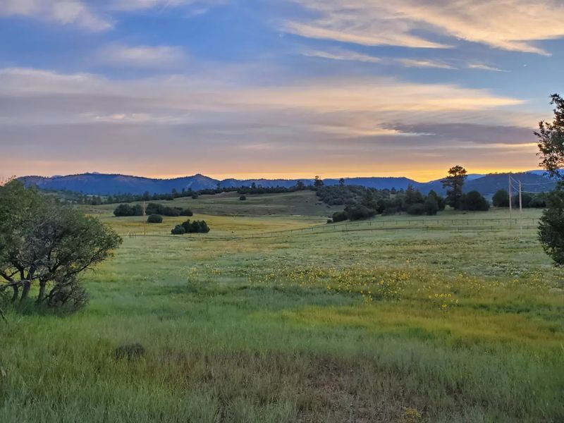 Wildlife Watching in the High Country