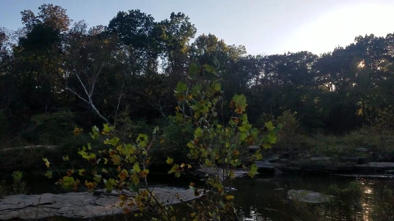 Best Time to Visit and Tips for Planning Your Trip