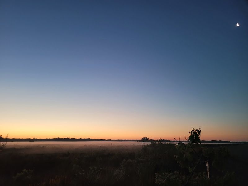 Primitive Camping Under the Florida Stars