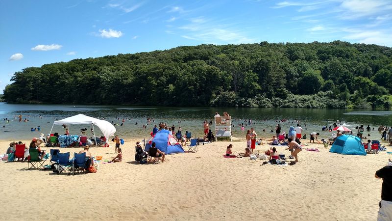 Swimming and Beach Days at the Shoreline