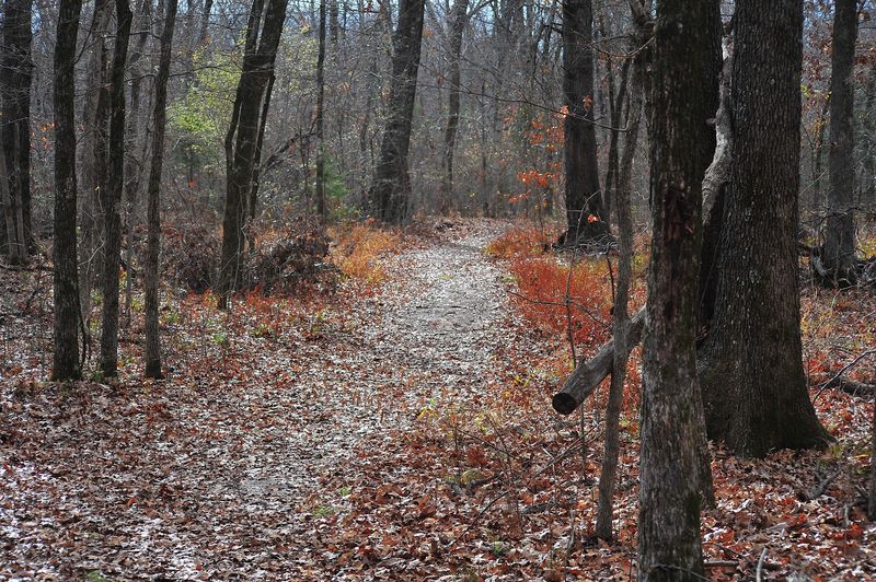 Trails and Hiking: More Ground to Cover Than You Expect