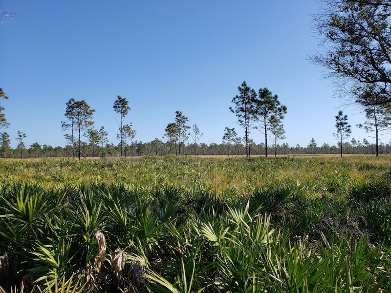 Cycling Through the Prairie