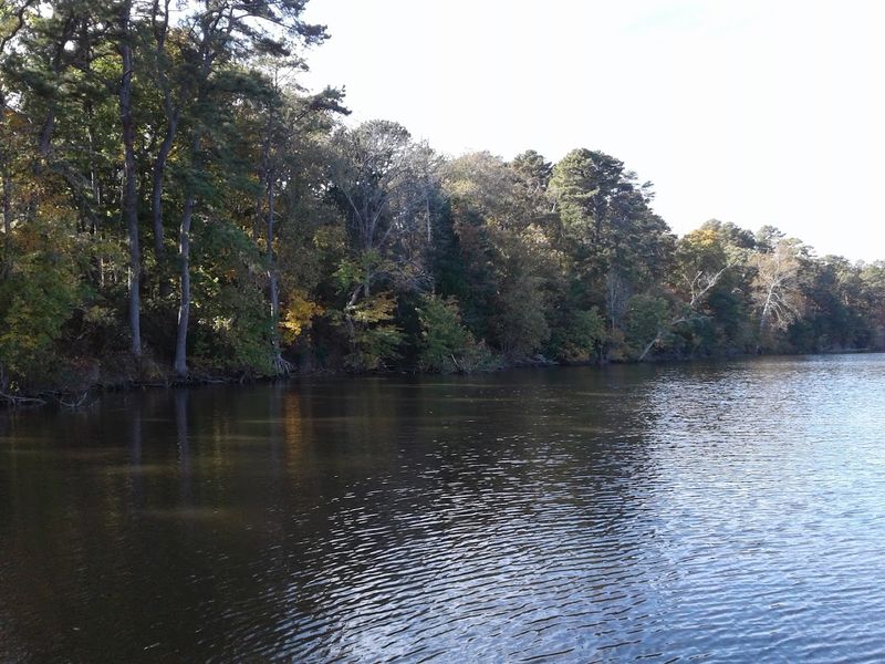 The Blue Trail and Its River Views