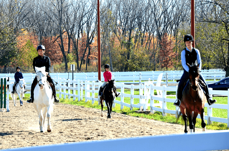 The Equestrian Center That Catches Everyone Off Guard