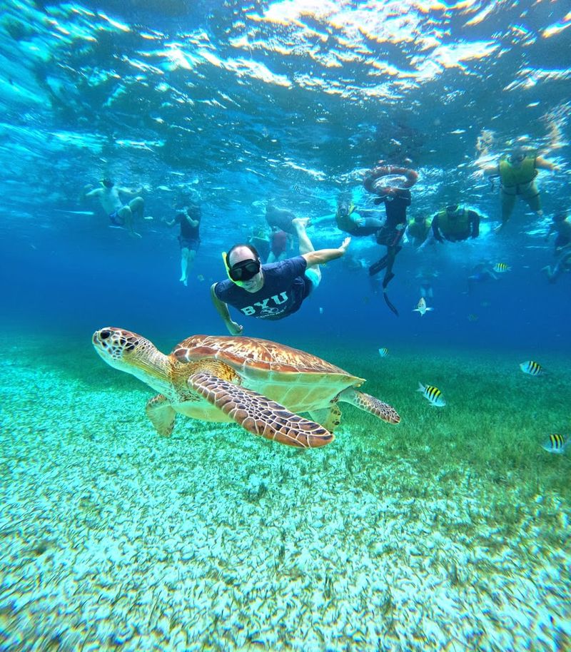 Snorkeling at Coral Gardens (Cozumel, Mexico)