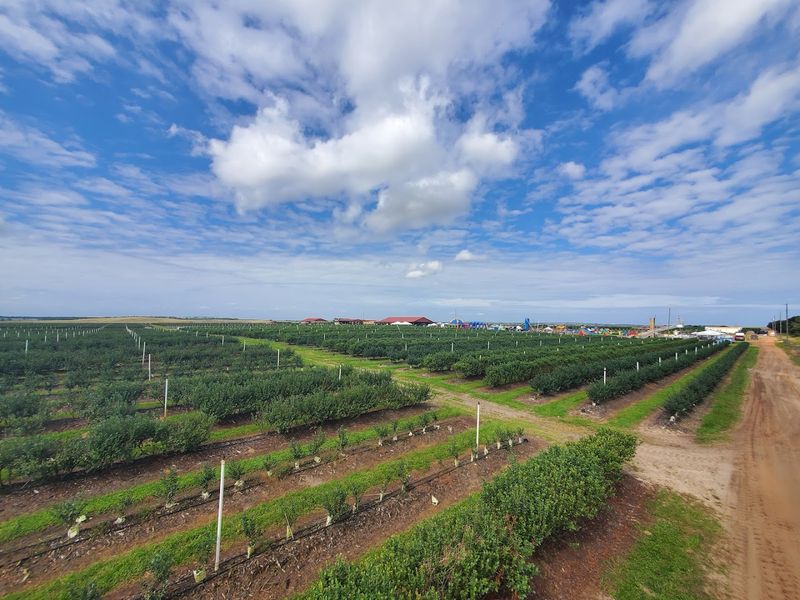 Southern Hill Farms (Clermont)