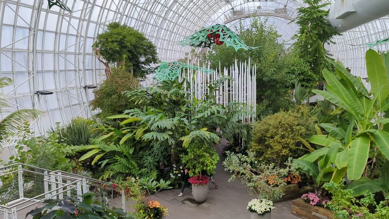 Tropical and Exotic Plants That Teach as Much as They Dazzle