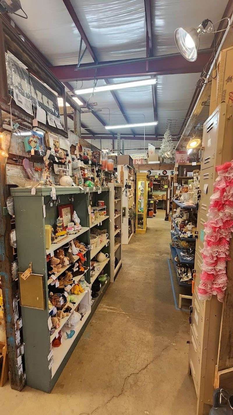 Practical Details Every Visitor Should Know