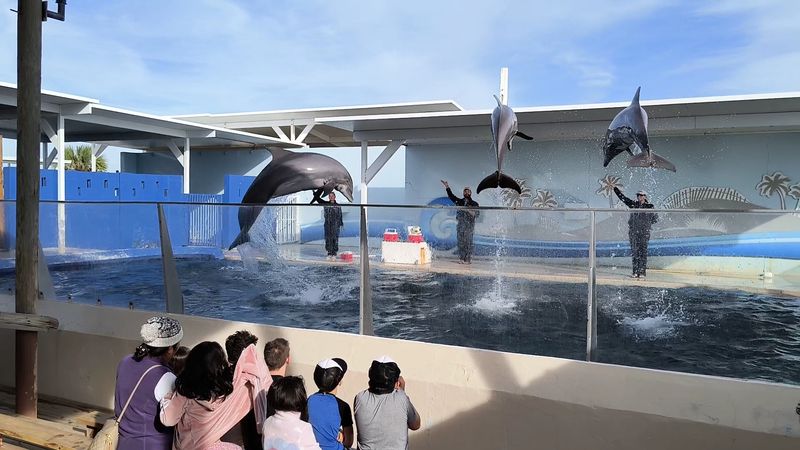 Planning Your Visit: Tips for Getting the Most Out of Your Day