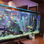 For 45 Years, This Florida Steakhouse Has Perfected Its Prime Rib