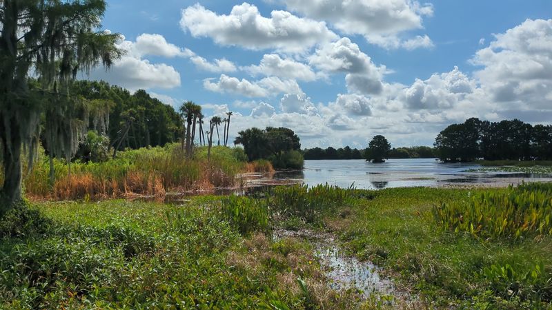 The Bigger Picture: Conservation in Action