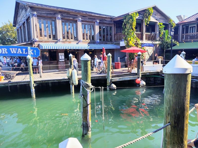 The Local Food Scene: Fresh, Bold, and Unforgettable