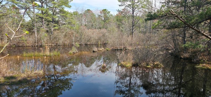 Hamilton Preserve (Atlantic County)
