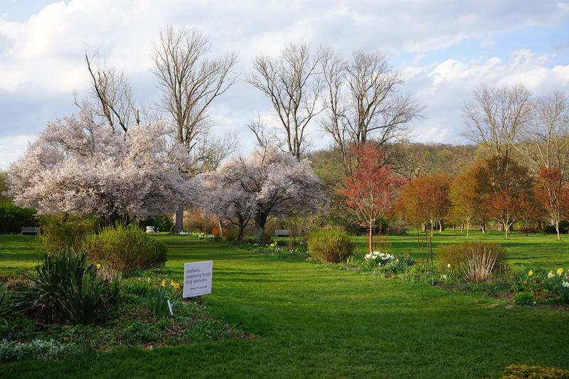 Best Times of Year to Plan Your Visit