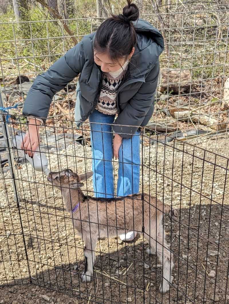 What to Wear and Bring to the Farm