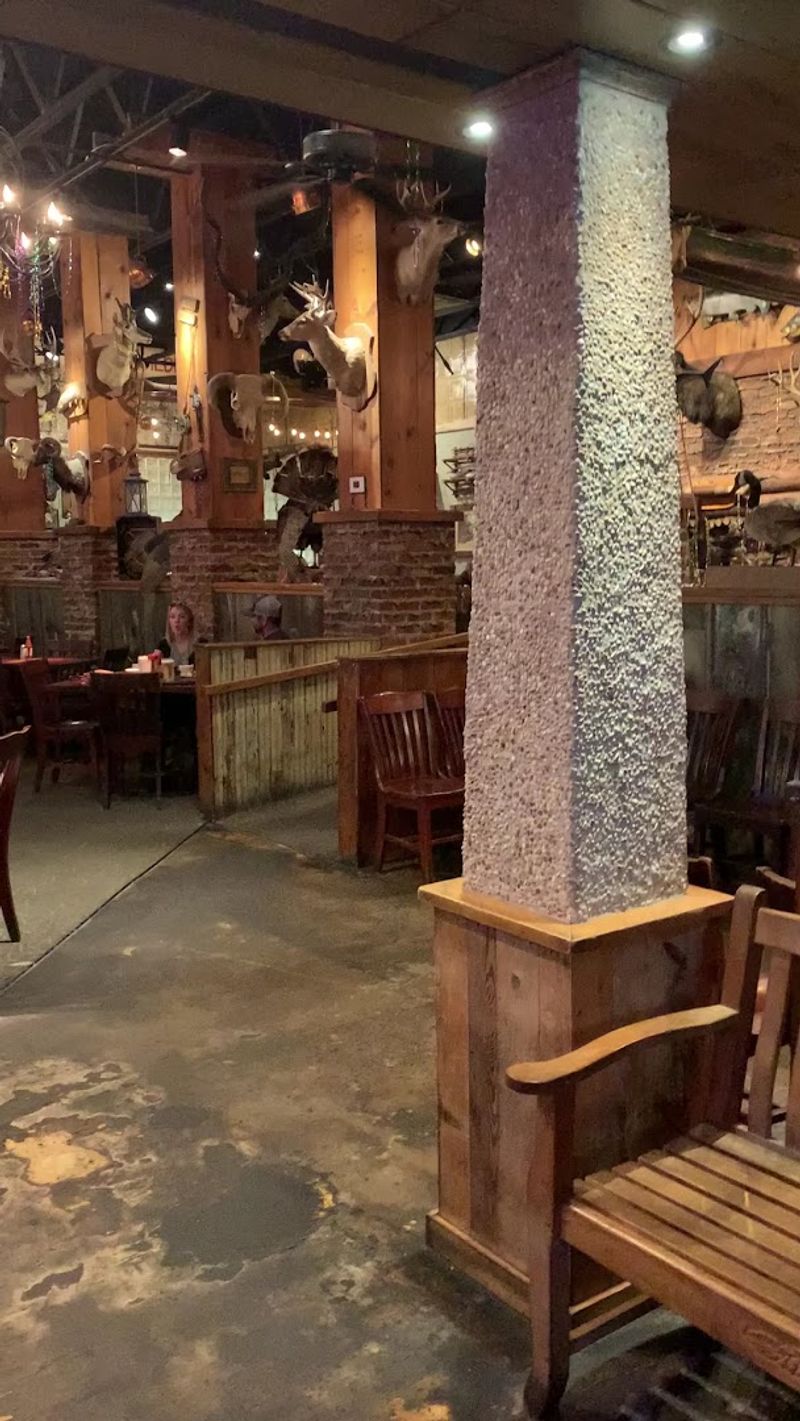 The Alligator Tank and Other Conversation Starters