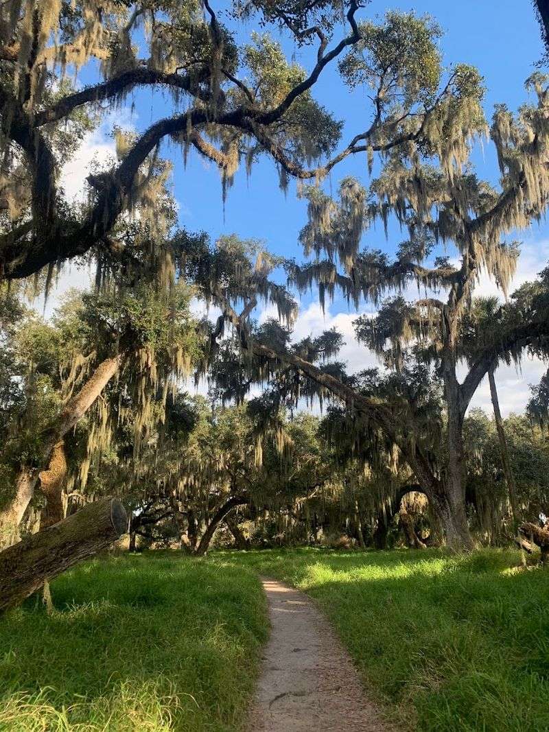 Getting There and First Impressions