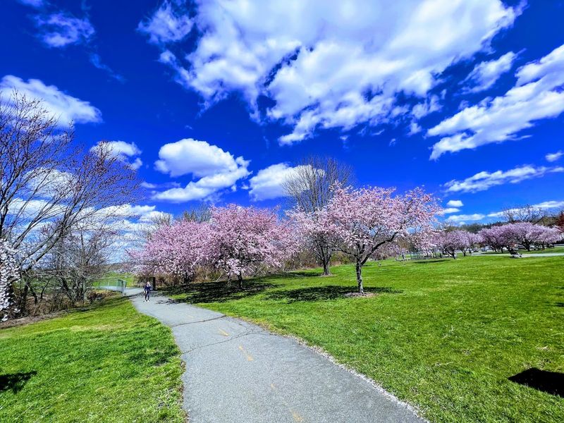Five Miles of Trails and the People Who Love Them