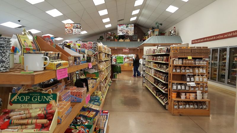 Planning Your Visit: Hours, Tips, and What to Expect