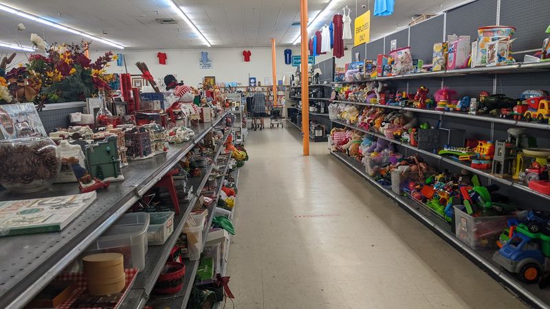 Housewares, Art, and the Unexpected Aisle Discoveries