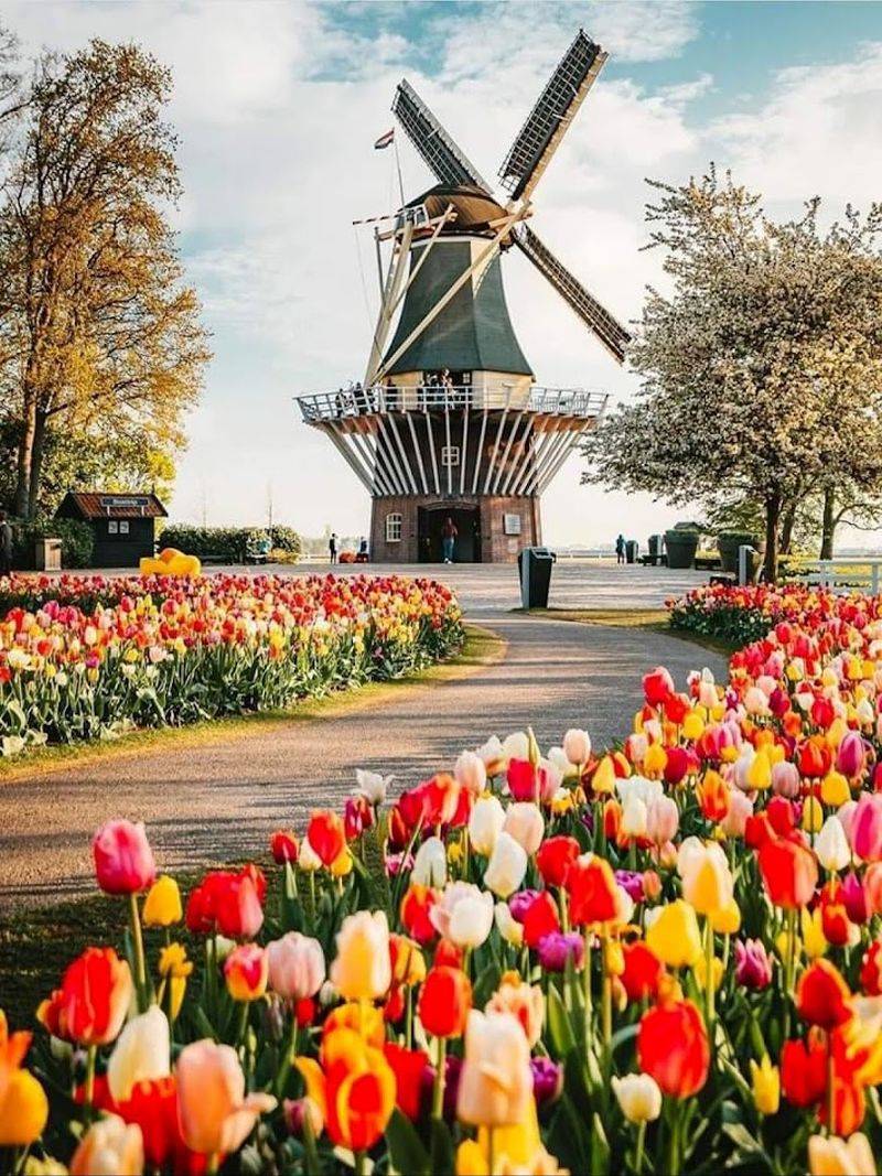 Keukenhof Gardens — Netherlands
