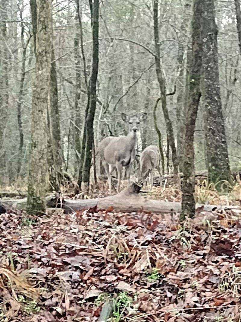 Hiking Trails Worth Every Step