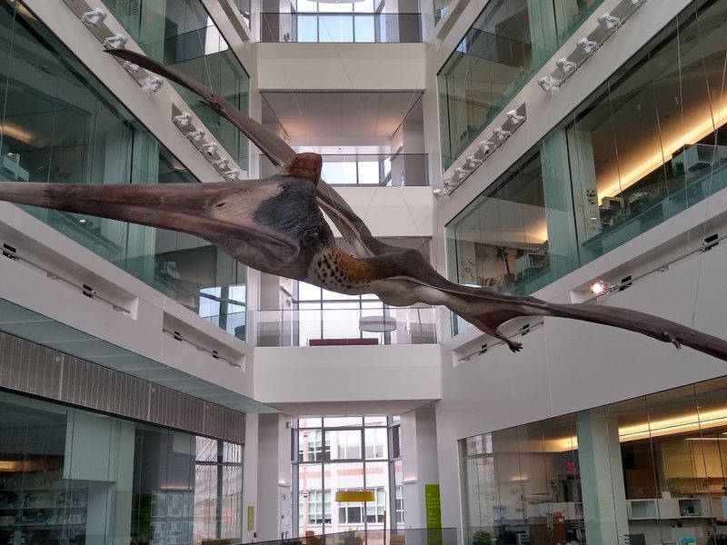 Watching Real Scientists Work Through the Lab Windows