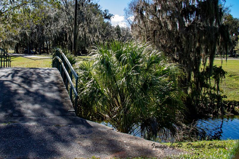Biking Through the Park on a Quiet Weekend Morning