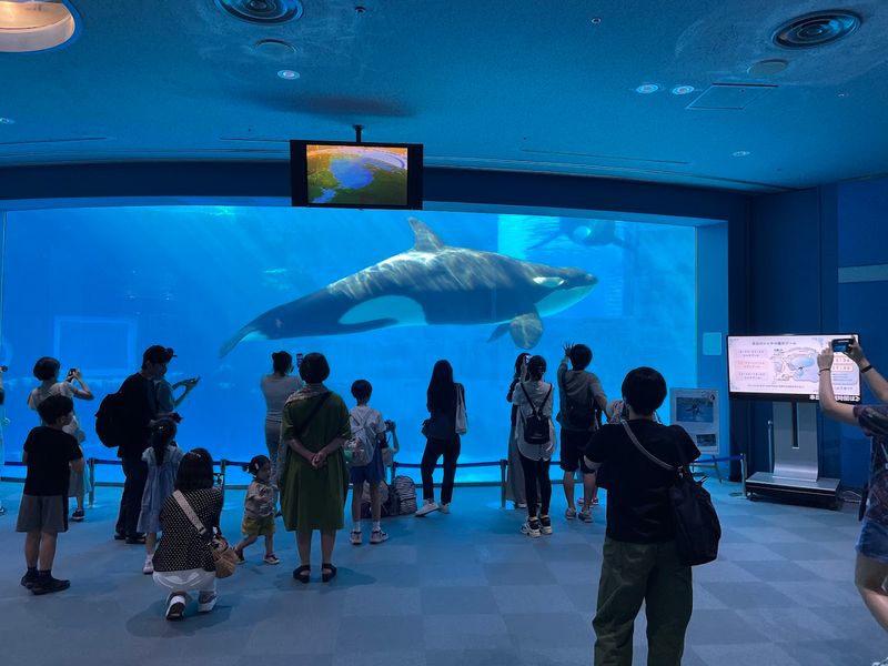 Port of Nagoya Public Aquarium, Japan