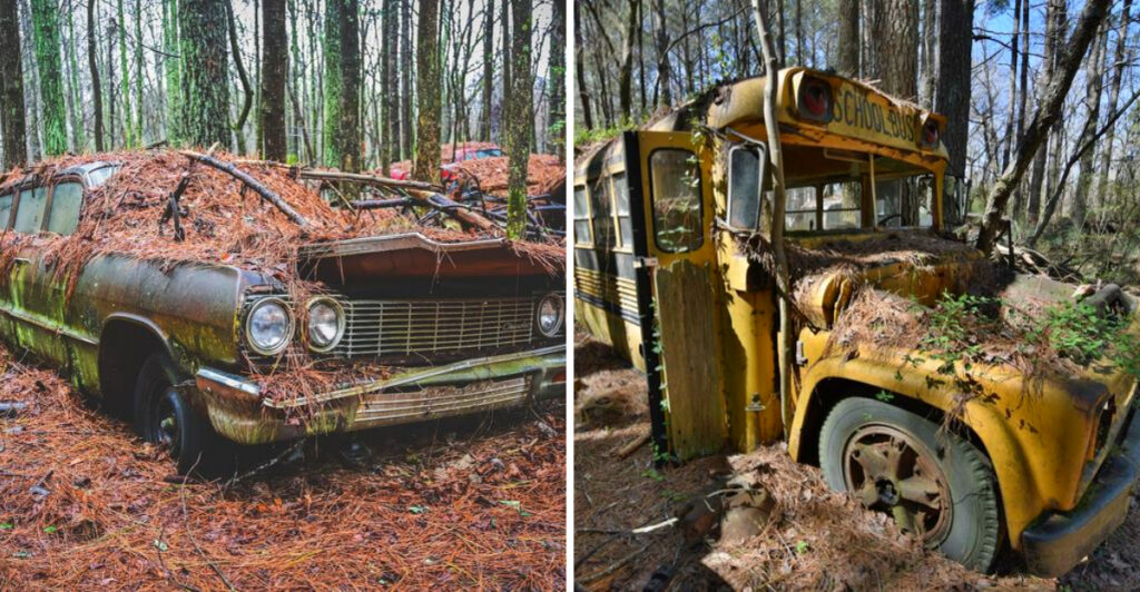 Georgia’s Old Car City Turns Rusty Classics Into Surreal Outdoor Art