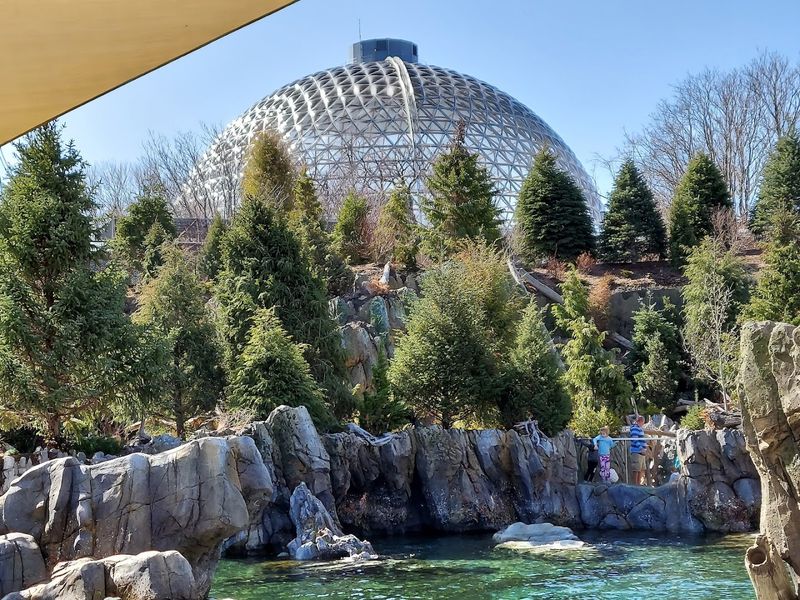 IMAX Theater: When the Zoo Adds a Cinema to the Mix