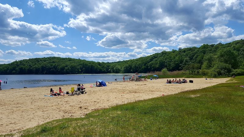 The Beach Area and Swimming Setup
