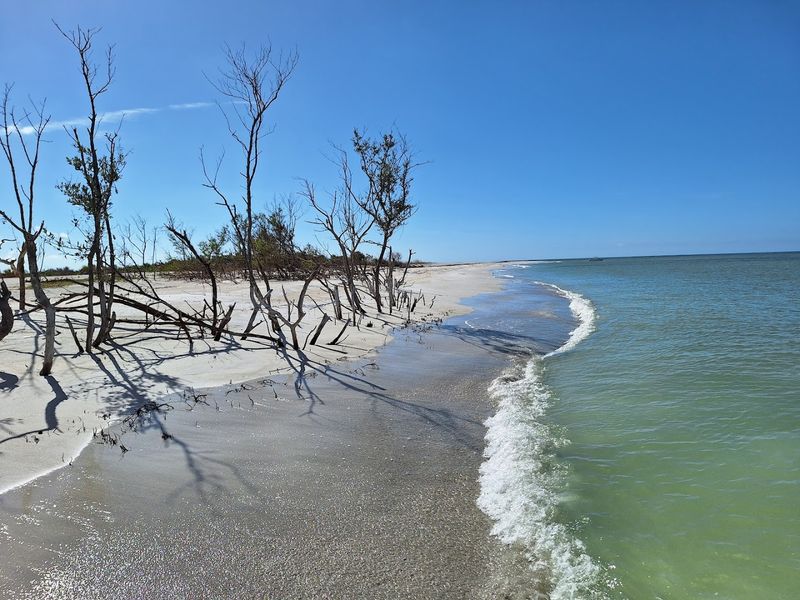 Nine Miles of Gulf Beach With Almost No One On Them