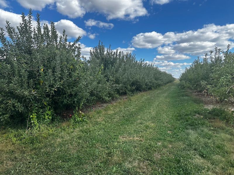 Tuttle Orchards Farm Market – Greenfield, Indiana