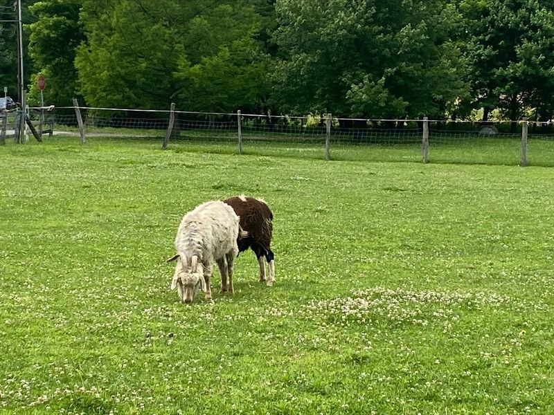 A Day Trip Worth Repeating