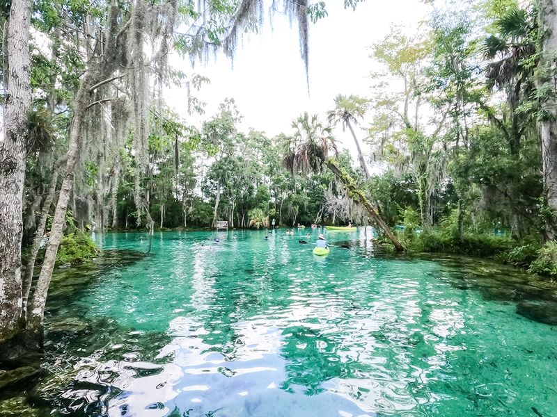 Crystal River (Kings Bay)