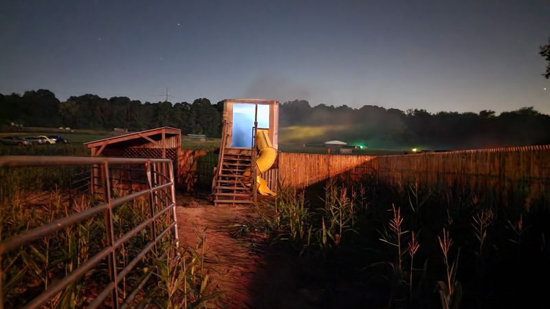 Family-Friendly or Purely Adult: Who Is This For