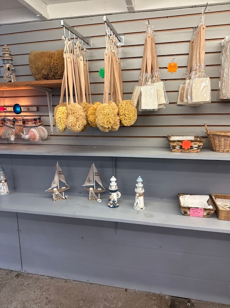 Boat Tours Down the Anclote River to Anclote Key