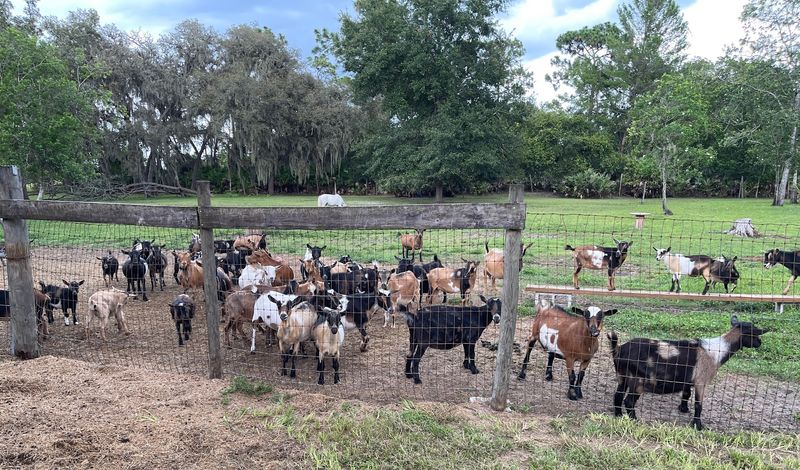 What the Farm Looks and Feels Like