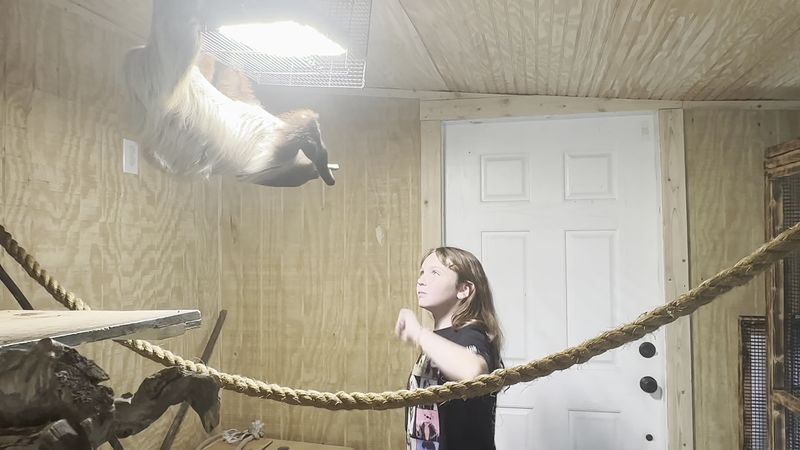 School Visits and Community Events