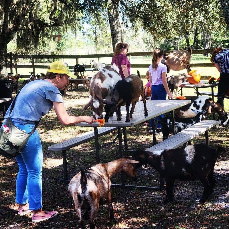 Practical Tips Before You Book